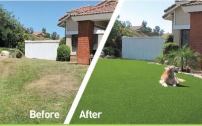 Top 10 Benefits of Artificial Turf vs. Grass